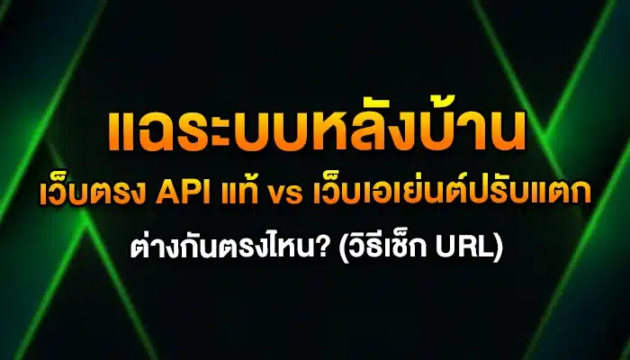 แฉระบบหลังบ้าน: เว็บตรง API แท้ vs เว็บเอเย่นต์ปรับแตก ต่างกันตรงไหน? (วิธีเช็ก URL)